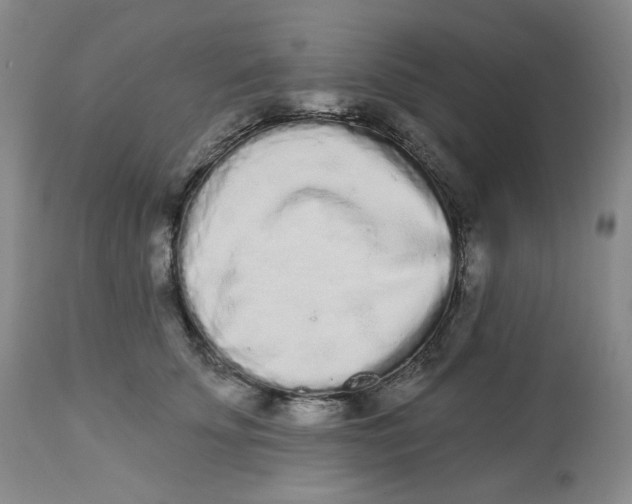 X0000112720707200909171104