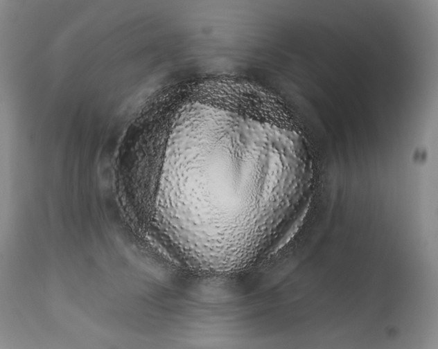 X0000112720708200909171104