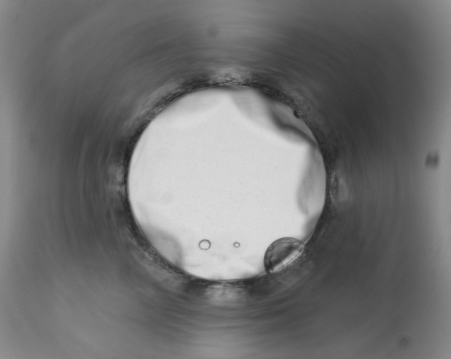 X0000112720714200909171104