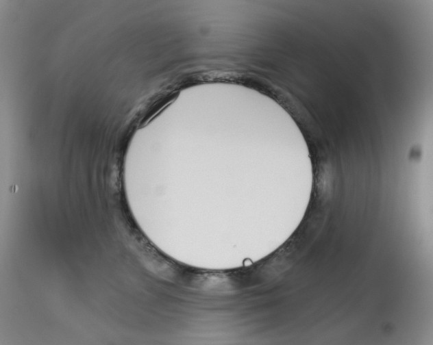 X0000112720715200909171104