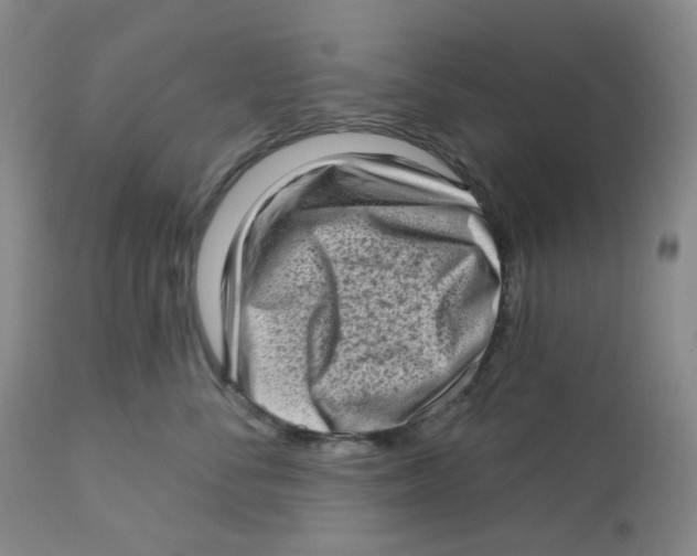 X0000112720716200909171104