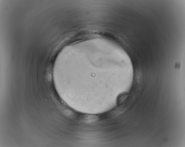 X0000112720719200909171104