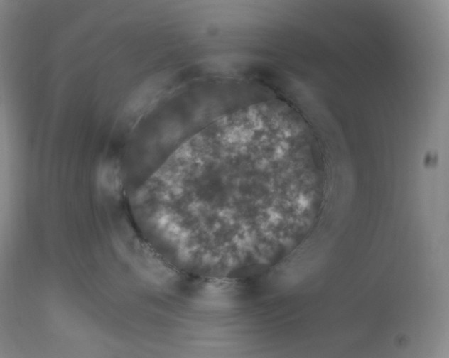 X0000112720720200909171104