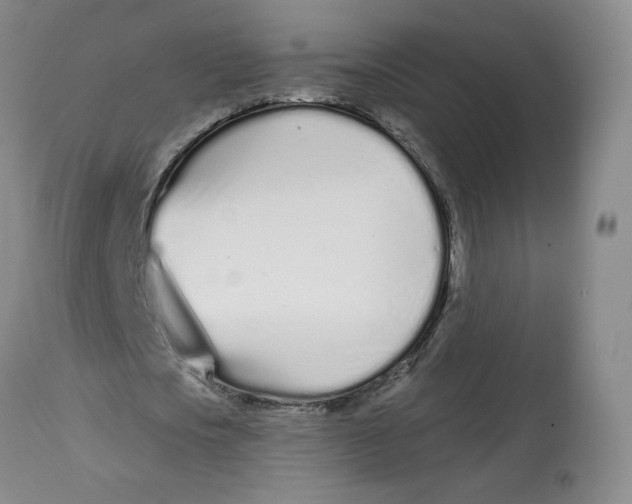 X0000112720721200909171104