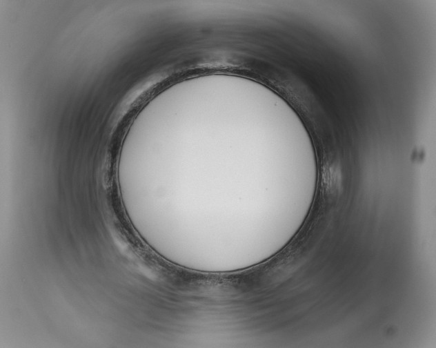 X0000112720724200909171104