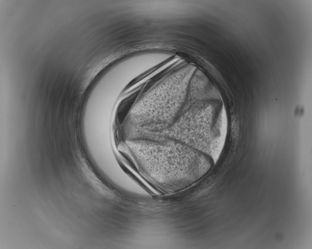 X0000112720725200909171104