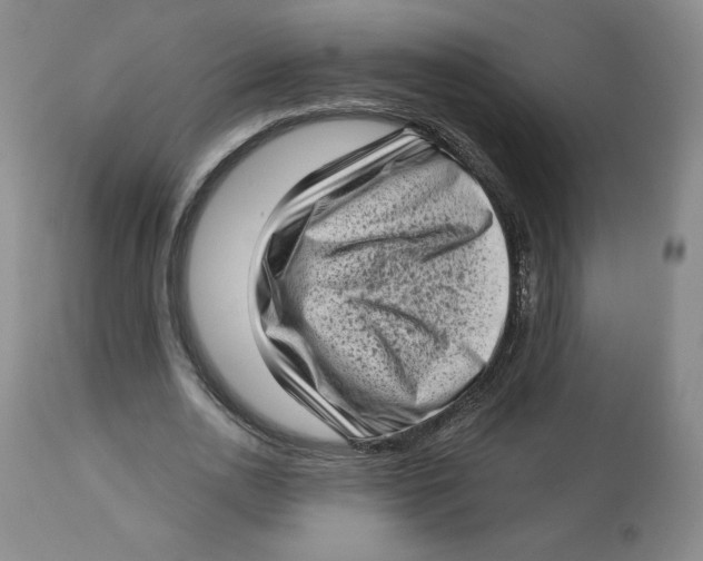 X0000112720726200909171104