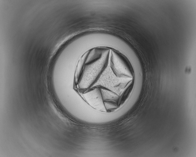 X0000112720728200909171104