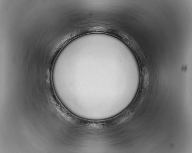 X0000112720729200909171104