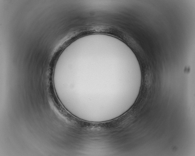 X0000112720730200909171104