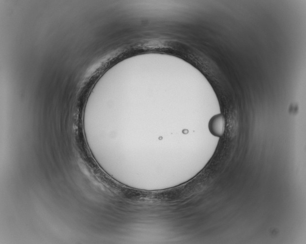 X0000112720732200909171104