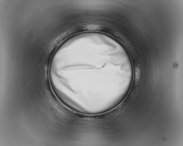 X0000112720733200909171104