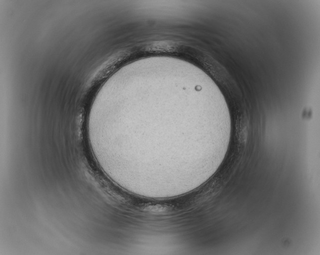 X0000112720735200909171104