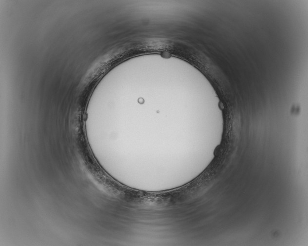 X0000112720736200909171104