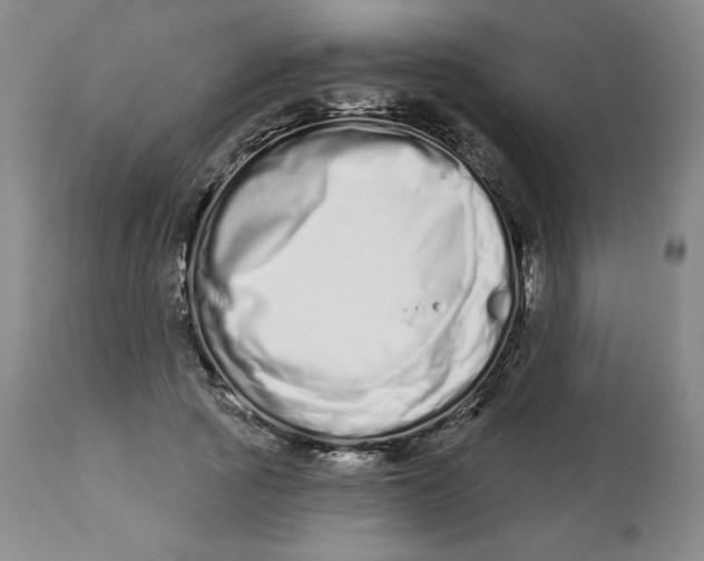 X0000112720737200909171104