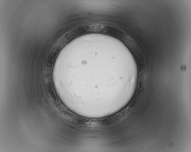 X0000112720741200909171104