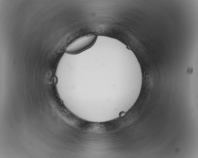 X0000112720750200909171104