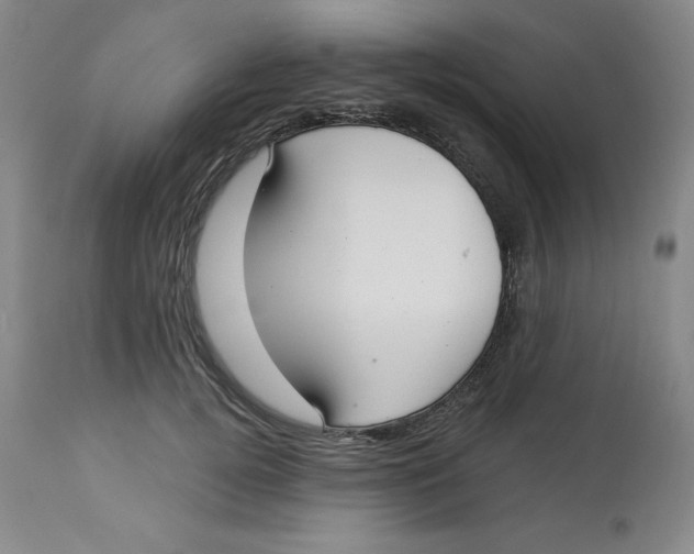 X0000112720752200909171104