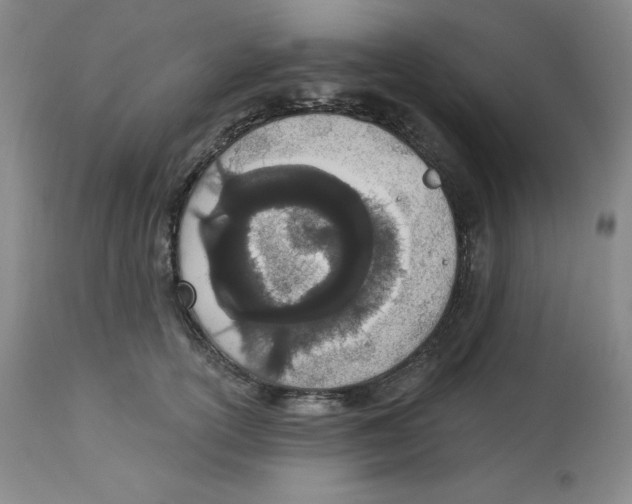 X0000112720754200909171104