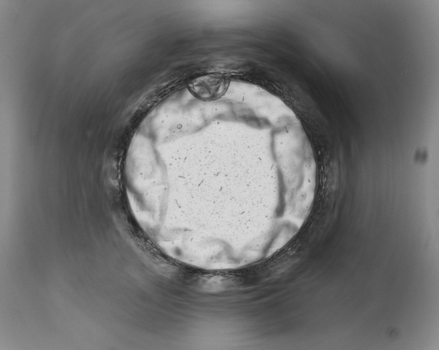 X0000112720755200909171104