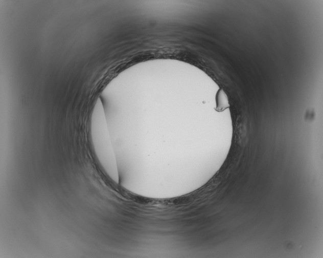 X0000112720756200909171104