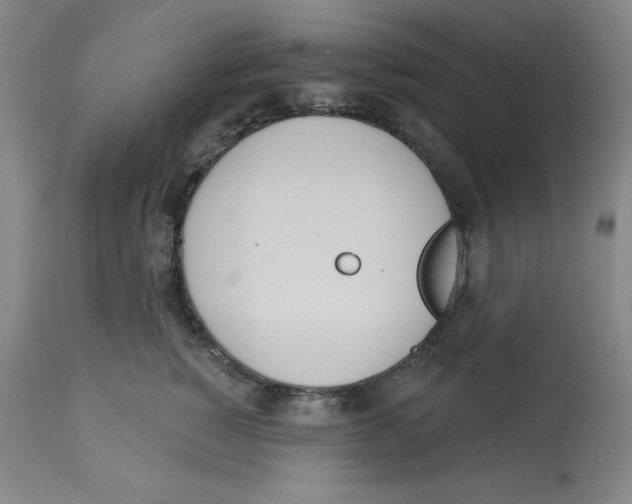 X0000112720760200909171104