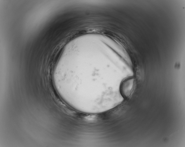 X0000112720761200909171104