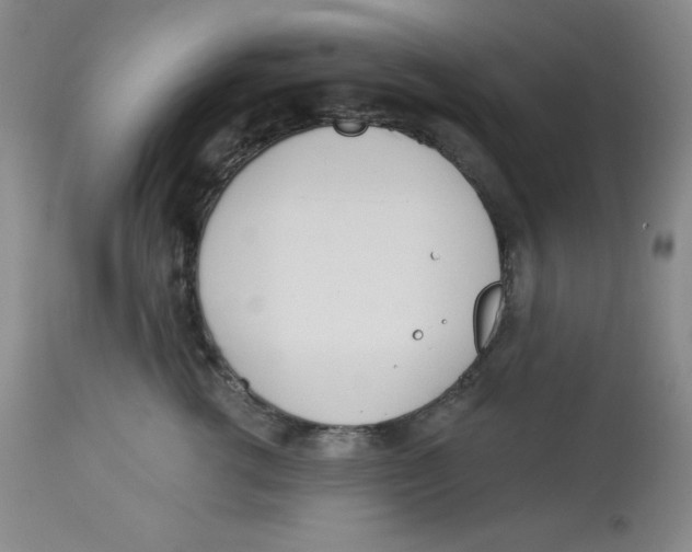 X0000112720762200909171104