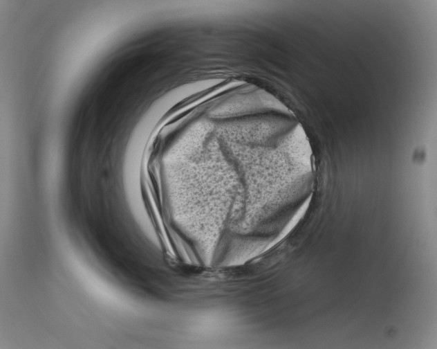 X0000112720764200909171104