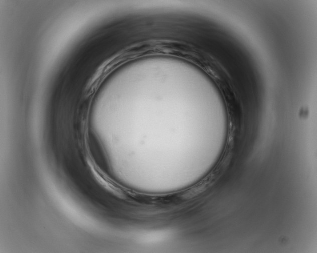 X0000112720765200909171104