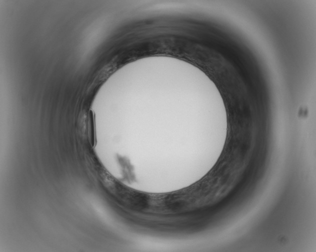 X0000112720766200909171104