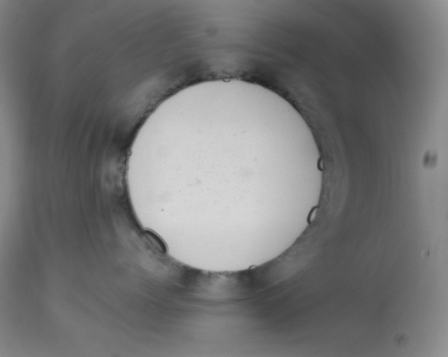 X0000112720768200909171104