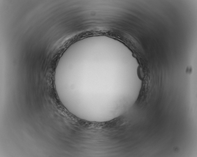 X0000112720773200909171104