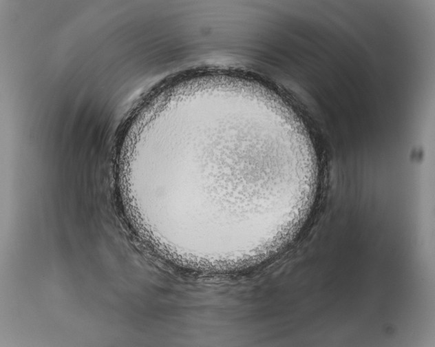 X0000112720776200909171104