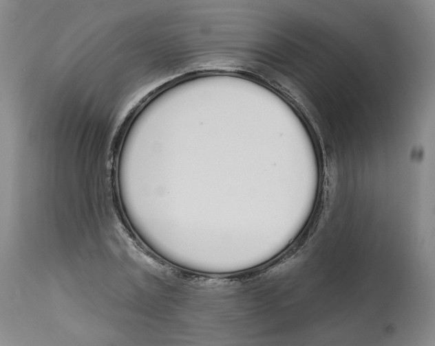 X0000112720779200909171103