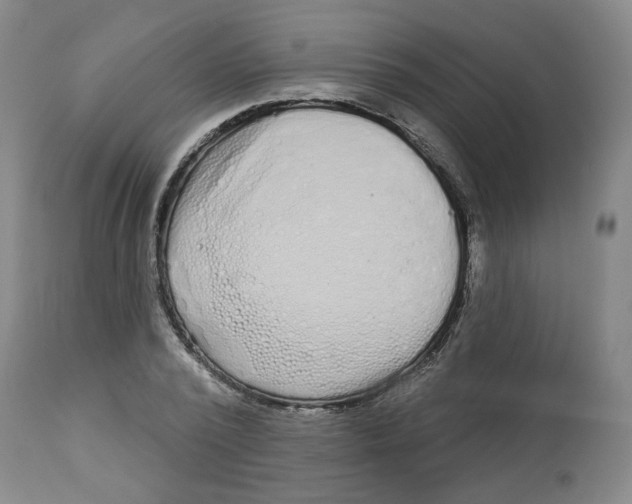 X0000112720784200909171103