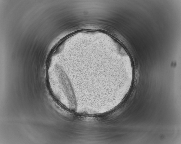 X0000112720787200909171103