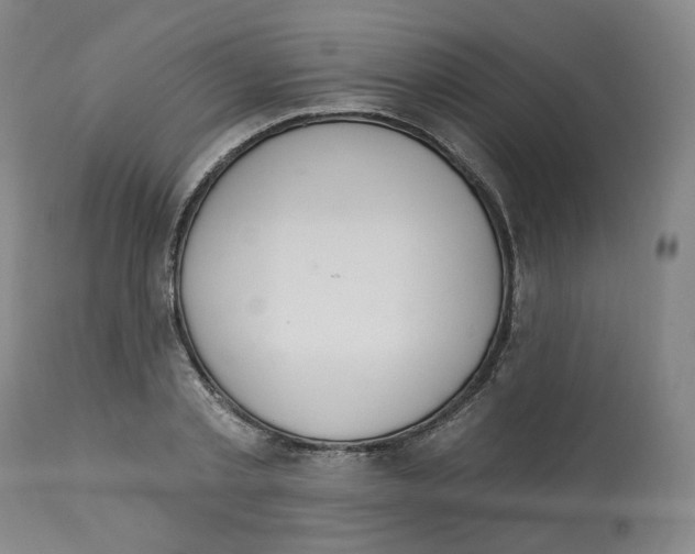 X0000112720789200909171103