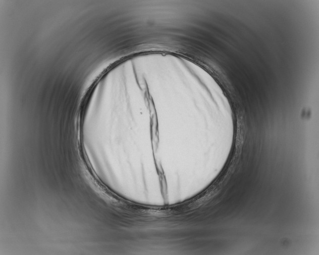 X0000112720796200909171103