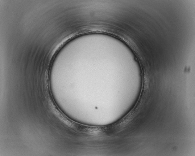 X0000112720798200909171103