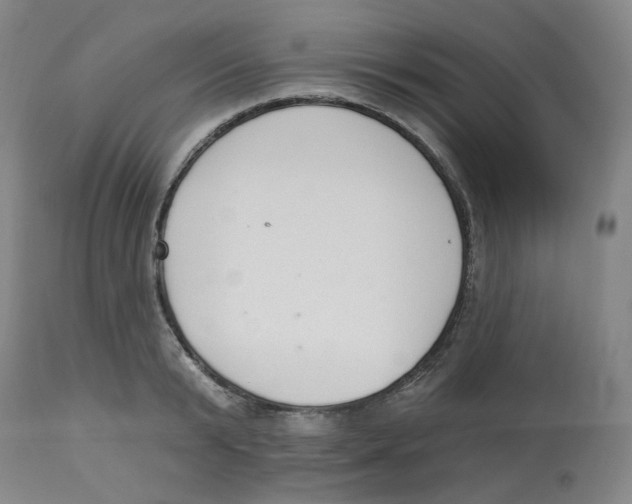 X0000112720799200909171103