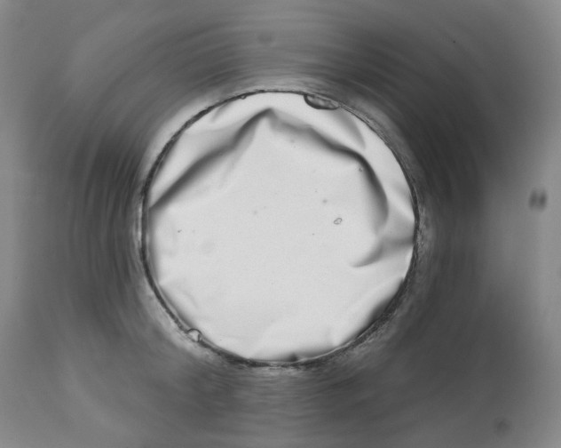 X0000112720804200909171103