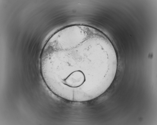 X0000112720807200909171103