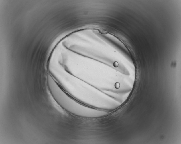 X0000112720808200909171103