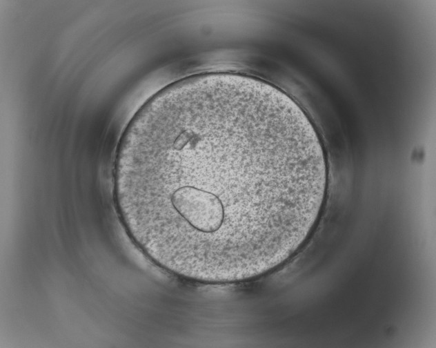 X0000112720810200909171103