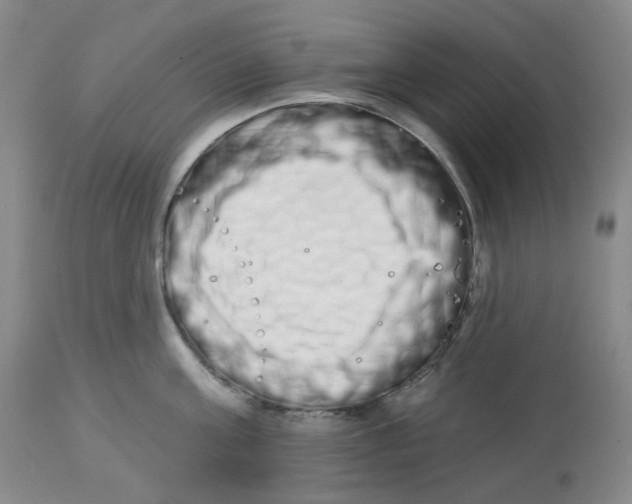 X0000112720811200909171103