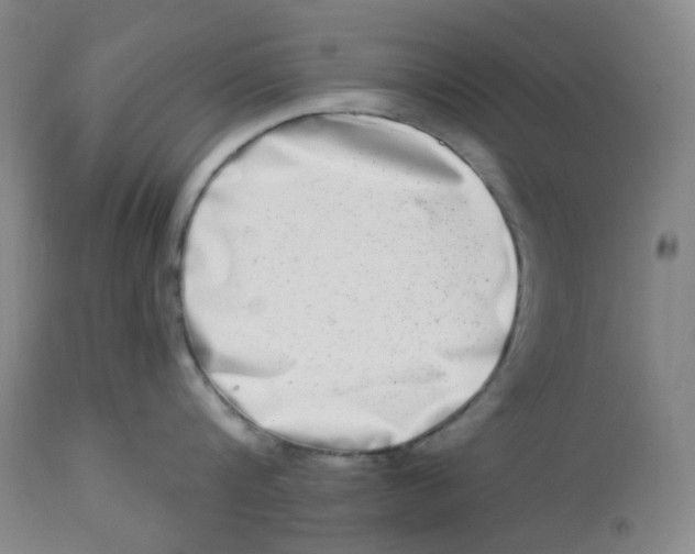 X0000112720816200909171103