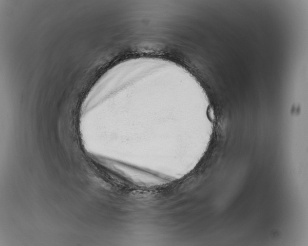 X0000112720817200909171102