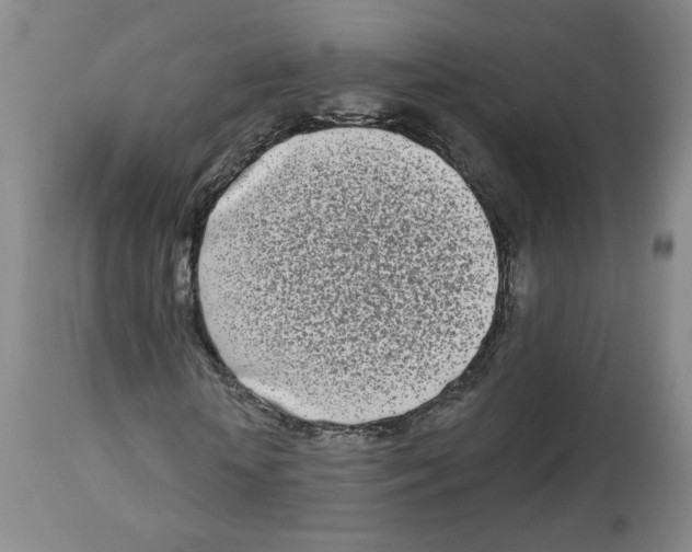 X0000112720818200909171102