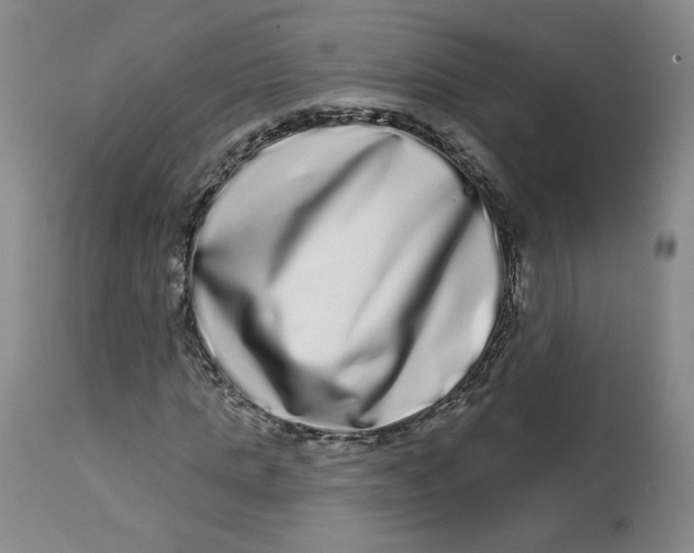 X0000112720821200909171102